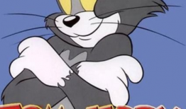 猫和老鼠视频,一场欢乐的追逐战